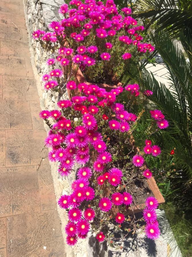 Bed and Breakfast Le Rocce SantʼAgata deʼ Goti Esterno foto